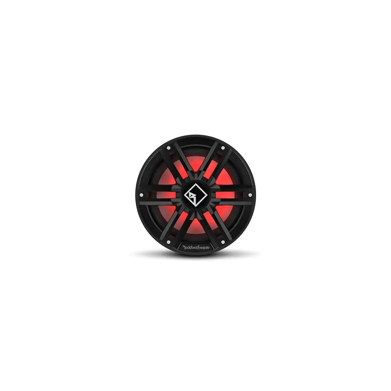 Rockford Fosgate M2D2-10iB